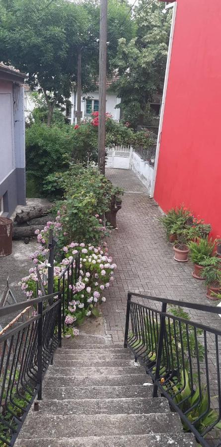 Ferienwohnung Stan Za Iznajmuvanje So Parking,Blisku Do Centar. Kumanovo Exterior foto